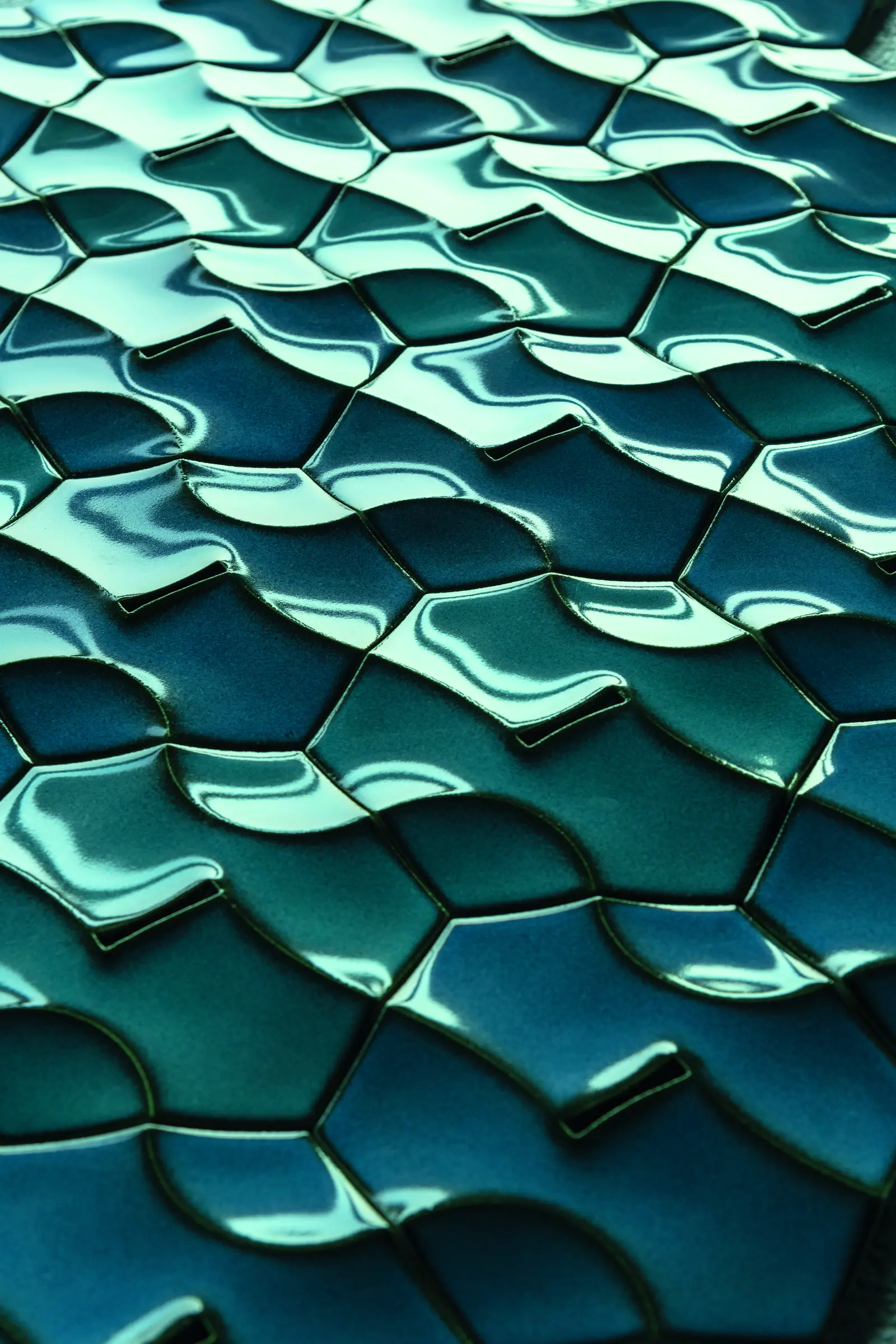 Cadenza — Bicolor close-up